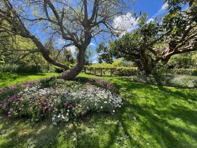 Lot 16, 1061 Makino Road Halcombe_11