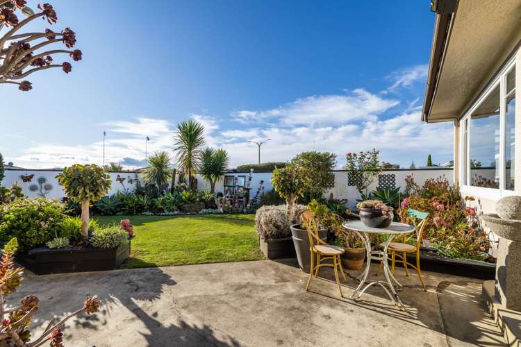 236 Kennedy Road Onekawa_26