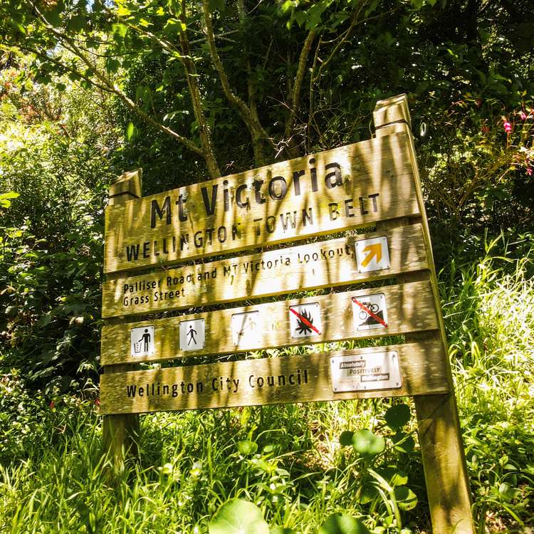 16 Telford Terrace Oriental Bay_6