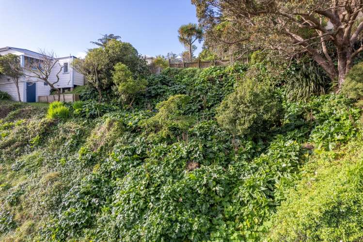19 Mornington Road Brooklyn_13