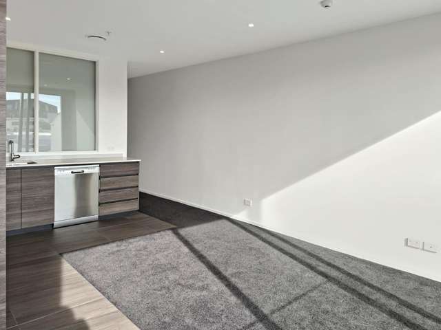  309/8 Rose Road Ponsonby_1