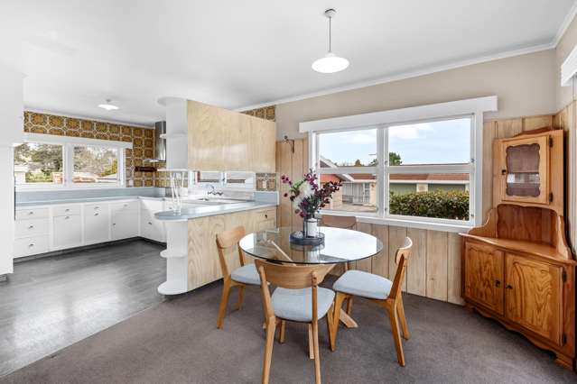 96 Lorne Street Morrinsville_4