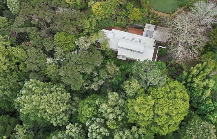 1/22 Rangatira Road 10868_19