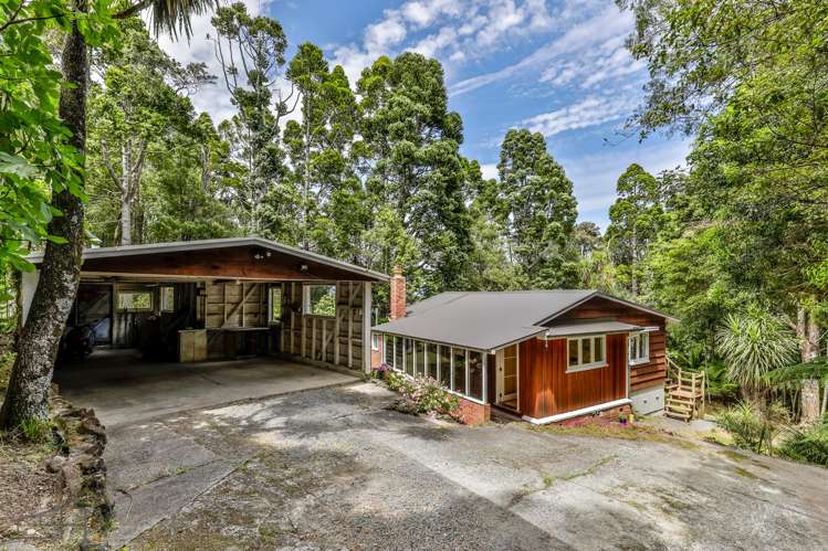 85 Tanekaha Road Titirangi_18