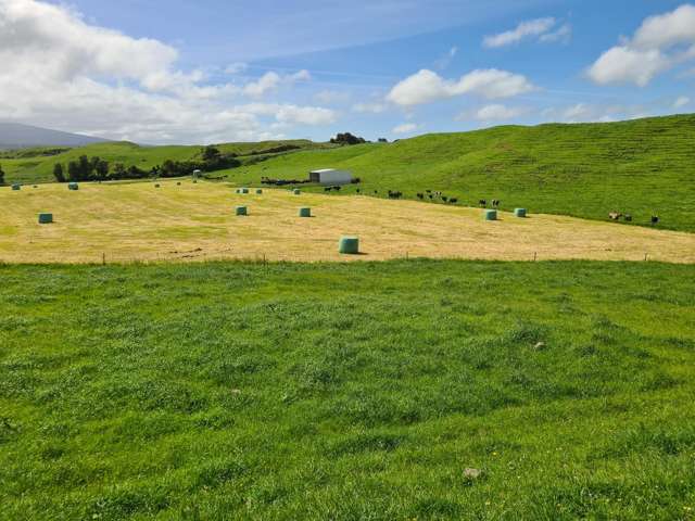 0n Parihaka Road Pungarehu_1