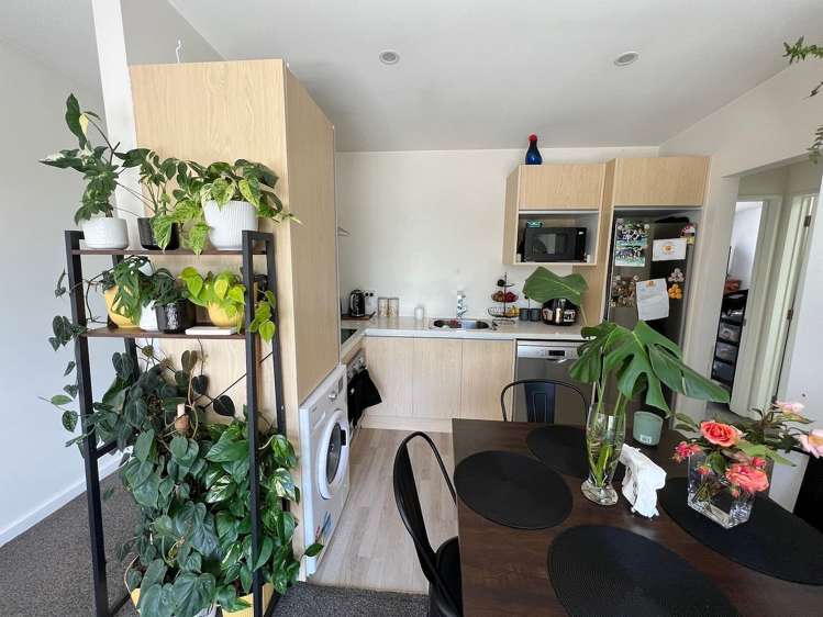 1/344 Ferry Road Waltham_4