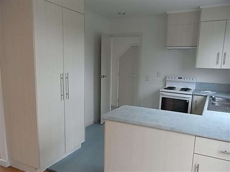 13 Ventura Grove Bulls_5