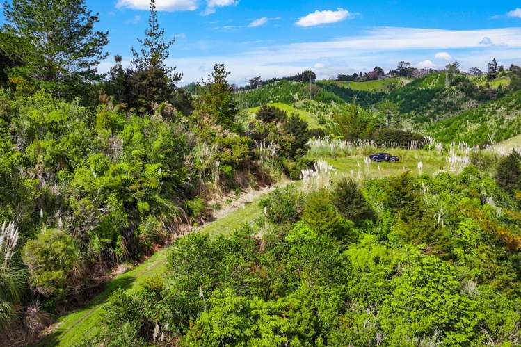 Lot 3 Radiata Road Warkworth_24