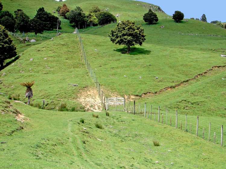 1742 Taringamotu Road Taringamotu_16