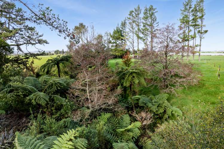 262 Durham Road Lower Norfolk_40