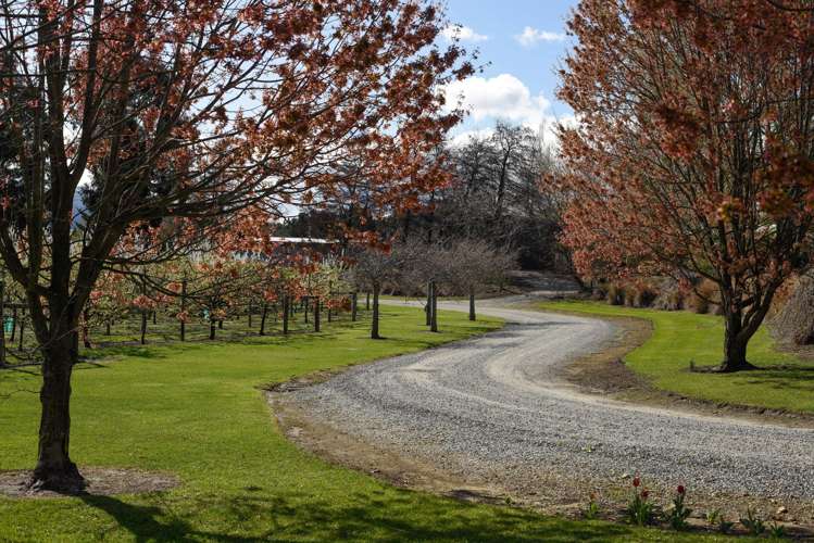 587 Dunstan Road Alexandra_14