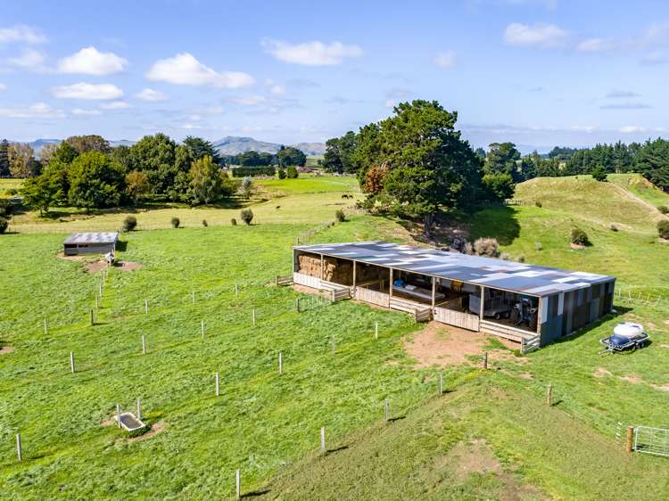 200 Garfield Road Norsewood_21