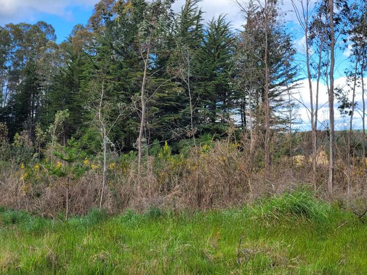 200 Nightcaps Ohai Highway_5