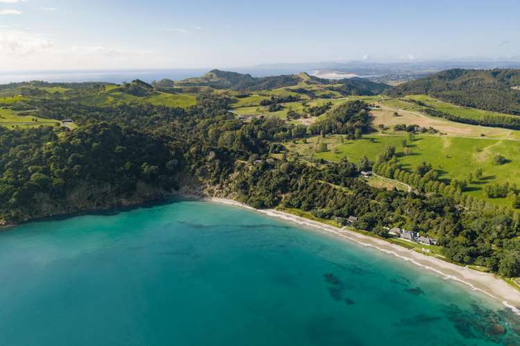 Andersons Cove Mangawhai_20