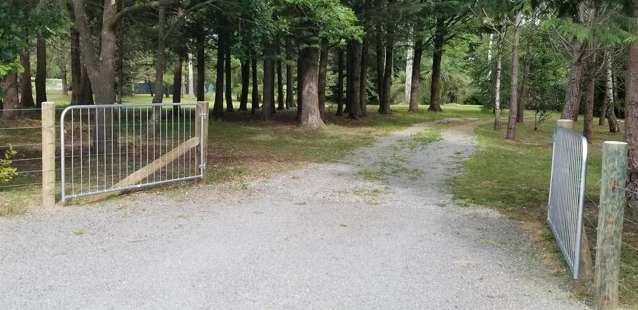 In A Park-Like Setting