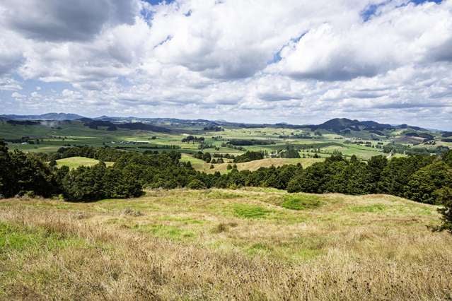 1085 Riponui Road Riponui_1