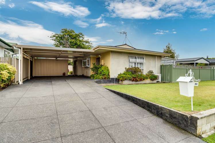 28 Galway Street Tamatea_3