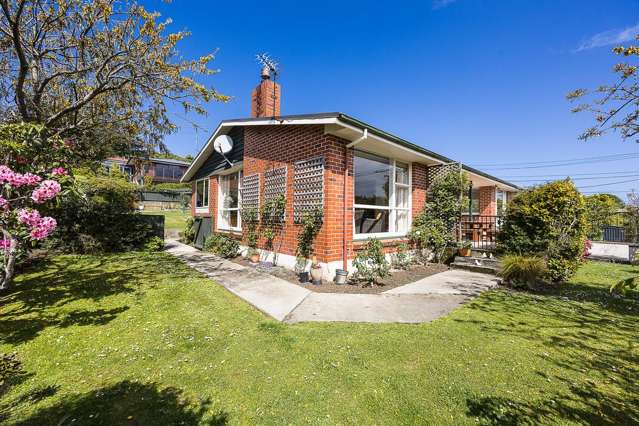 Room to Grow in Andersons Bay