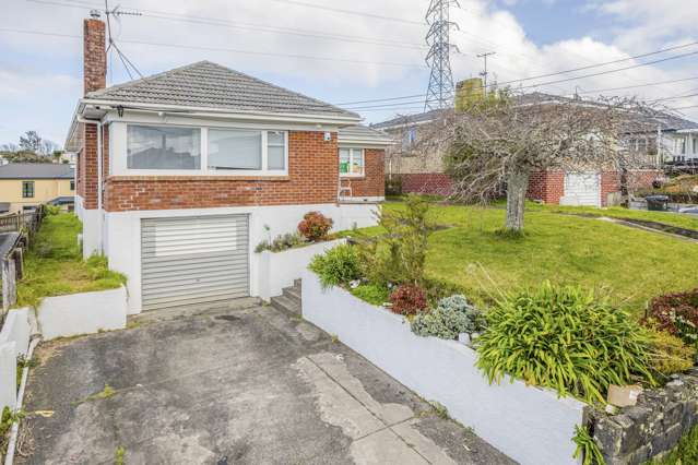 3 Locke Avenue Mount Roskill_1