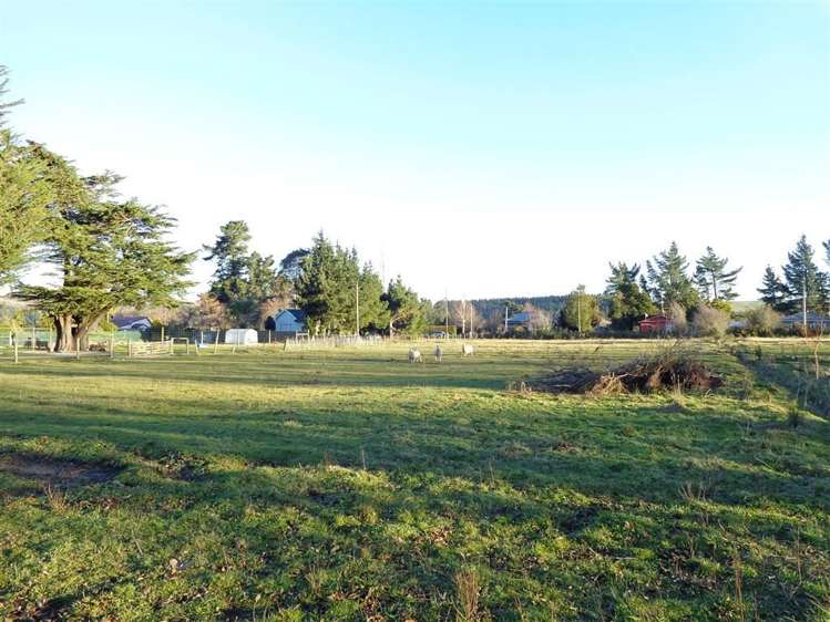 238 Whitecliffs Road Whitecliffs_3