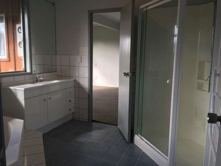 349 Postman Road Dairy Flat_8