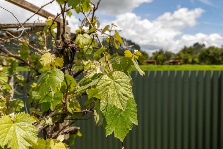 562 Great South Road Huntly_32