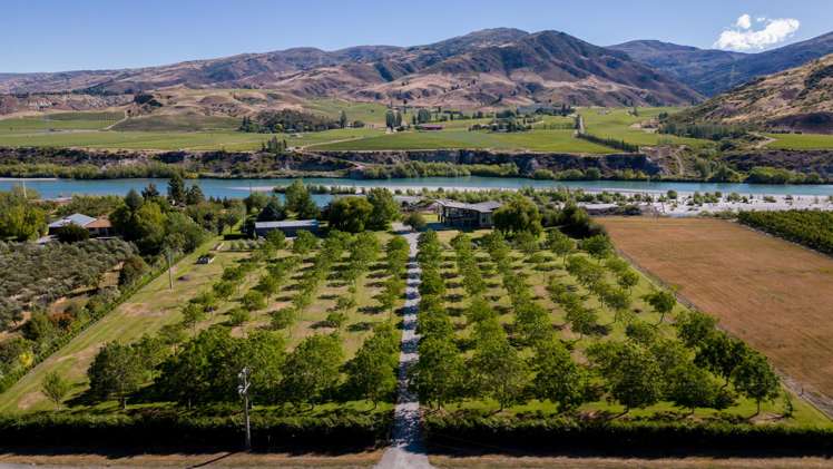 52 Pearson Road Bannockburn_24