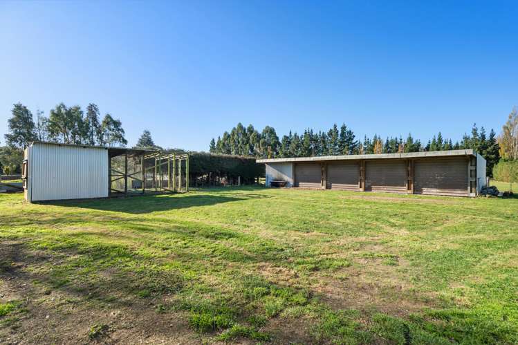1316 Tramway Road Dunsandel_23