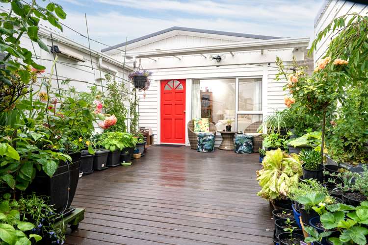 12 Emmett Street Newtown_1