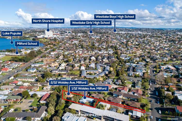 2/12 Wolsley Avenue Milford_9