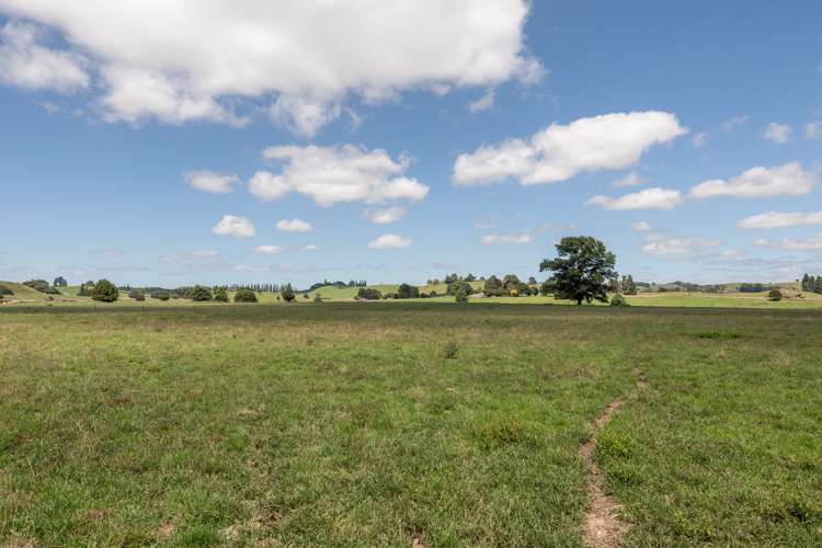 633 Lake Arapuni Road Arapuni_17