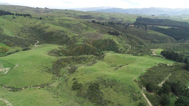 86 West Maerewhenua Road North Otago Surrounds_4