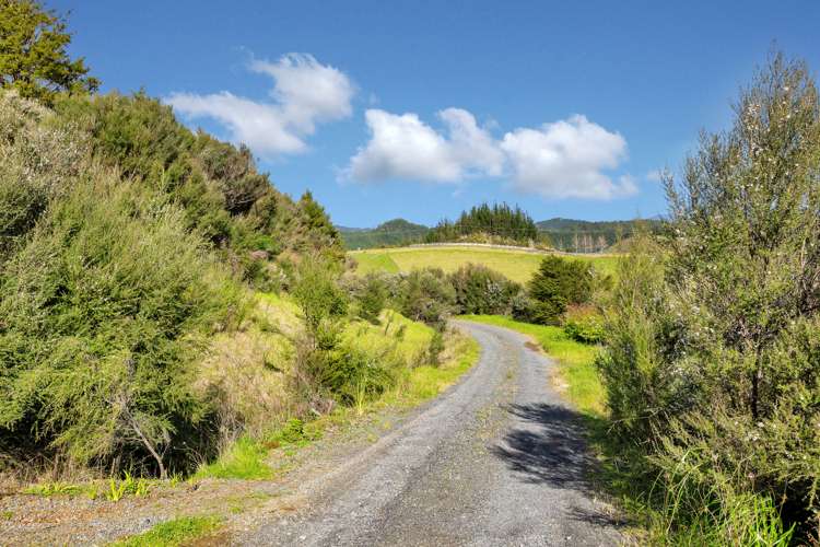 245 Ngunguru Ford Road Kiripaka_10