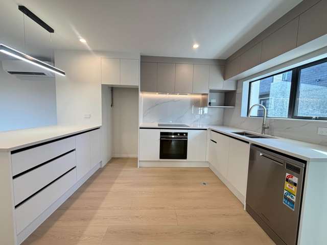 71D Royal Road Massey_1