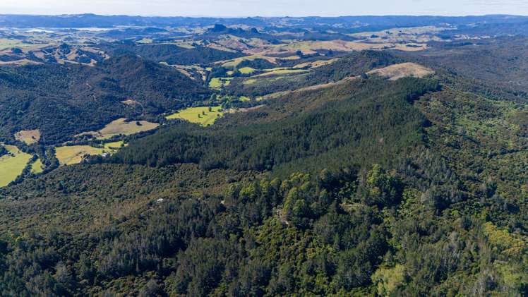 Lot 2 Goshen Valley Road Mangonui_6