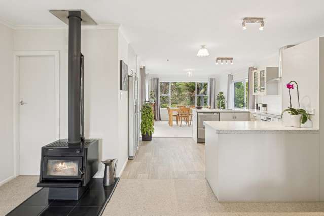 12 Galbraith Street Springfield_1