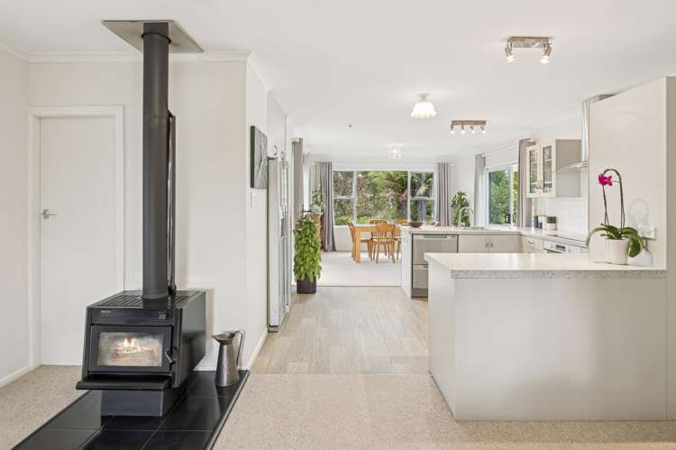 12 Galbraith Street Springfield_1