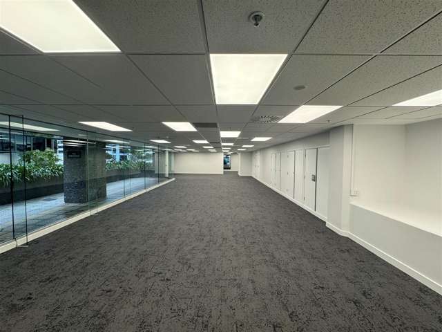 Level 8, 125 The Terrace Wellington Central_3