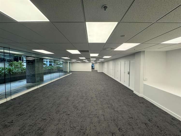Level 8, 125 The Terrace Wellington Central_2