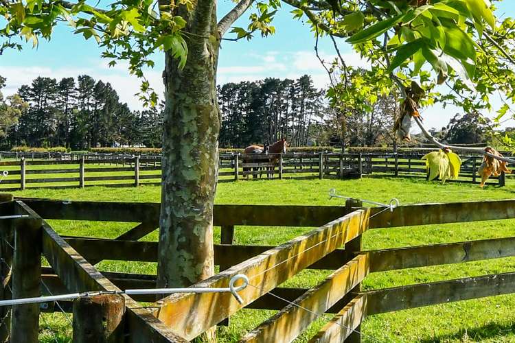 58 Ellett Road Karaka_15