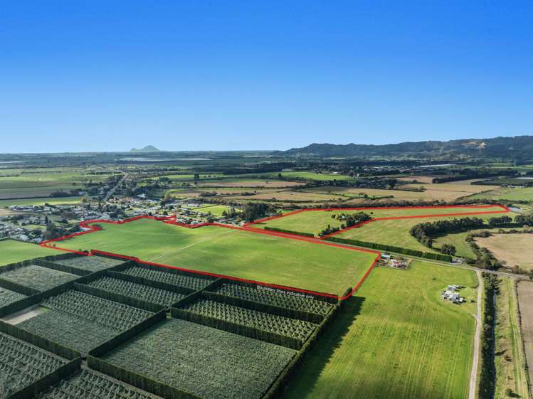 51 Tahuna Road Te Teko_6