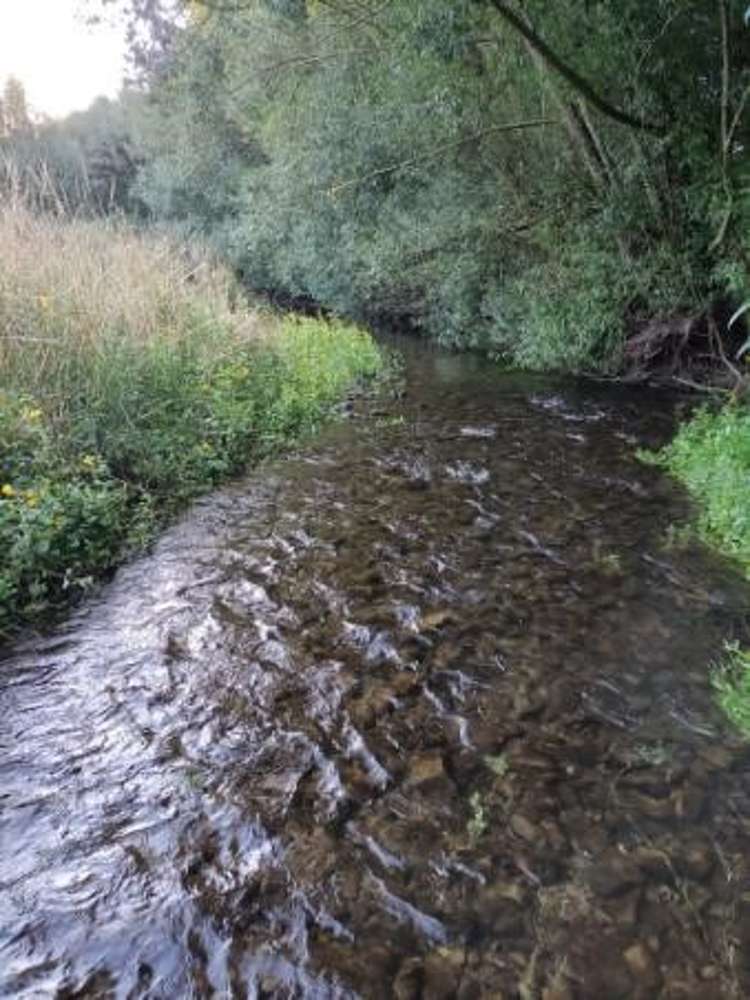 812 Hakataramea Valley Road Hakataramea Valley_6