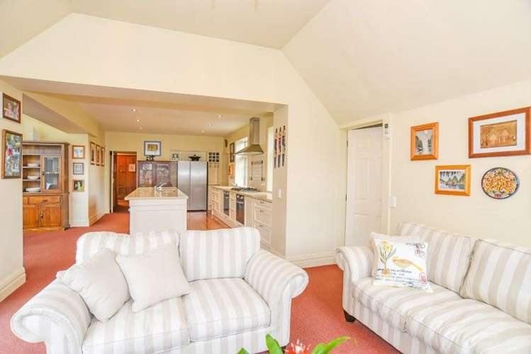 164 Forbury Road Saint Clair_6