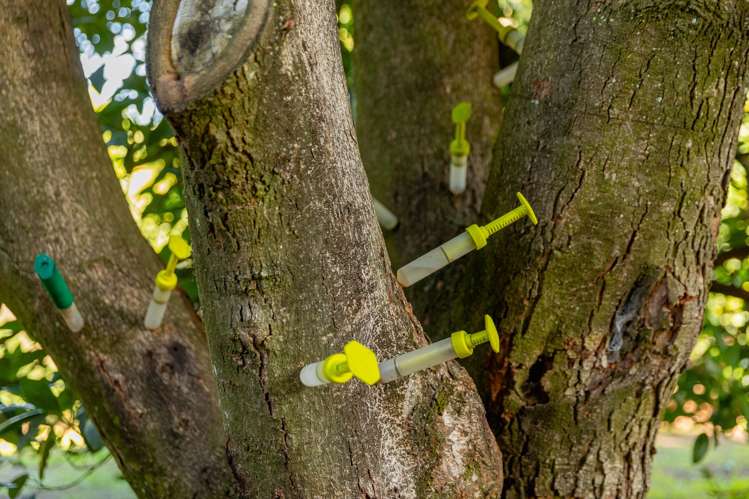 472 No 3 Road Te Puke_18