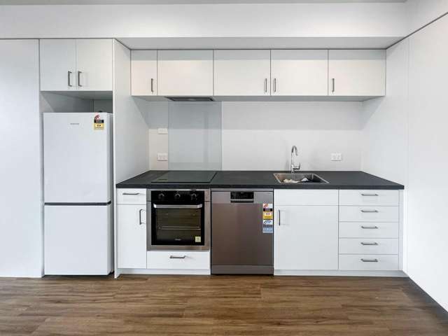 5/4 Waverley St Sydenham_1