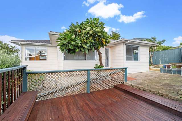 12 Mcfarland Street Remuera_2