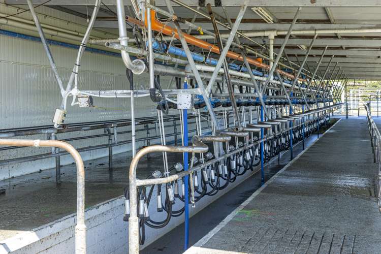 94 Brogdens Road Lowcliffe_13