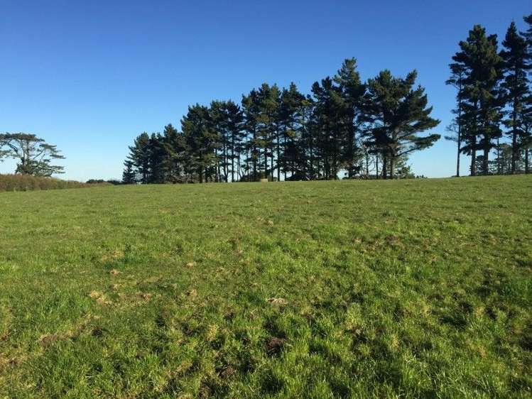 311 Opunake Road Cardiff_32