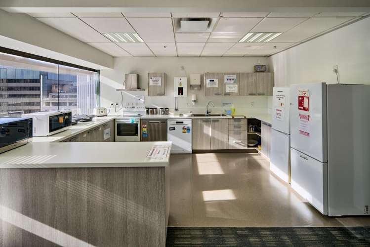 8 Gilmer Terrace Wellington Central_17