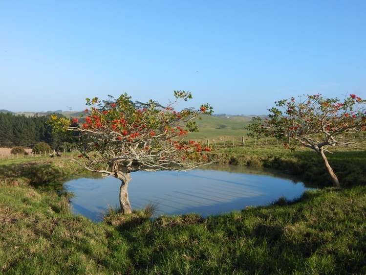 109 Te Kowhai Point Road Kerikeri_15